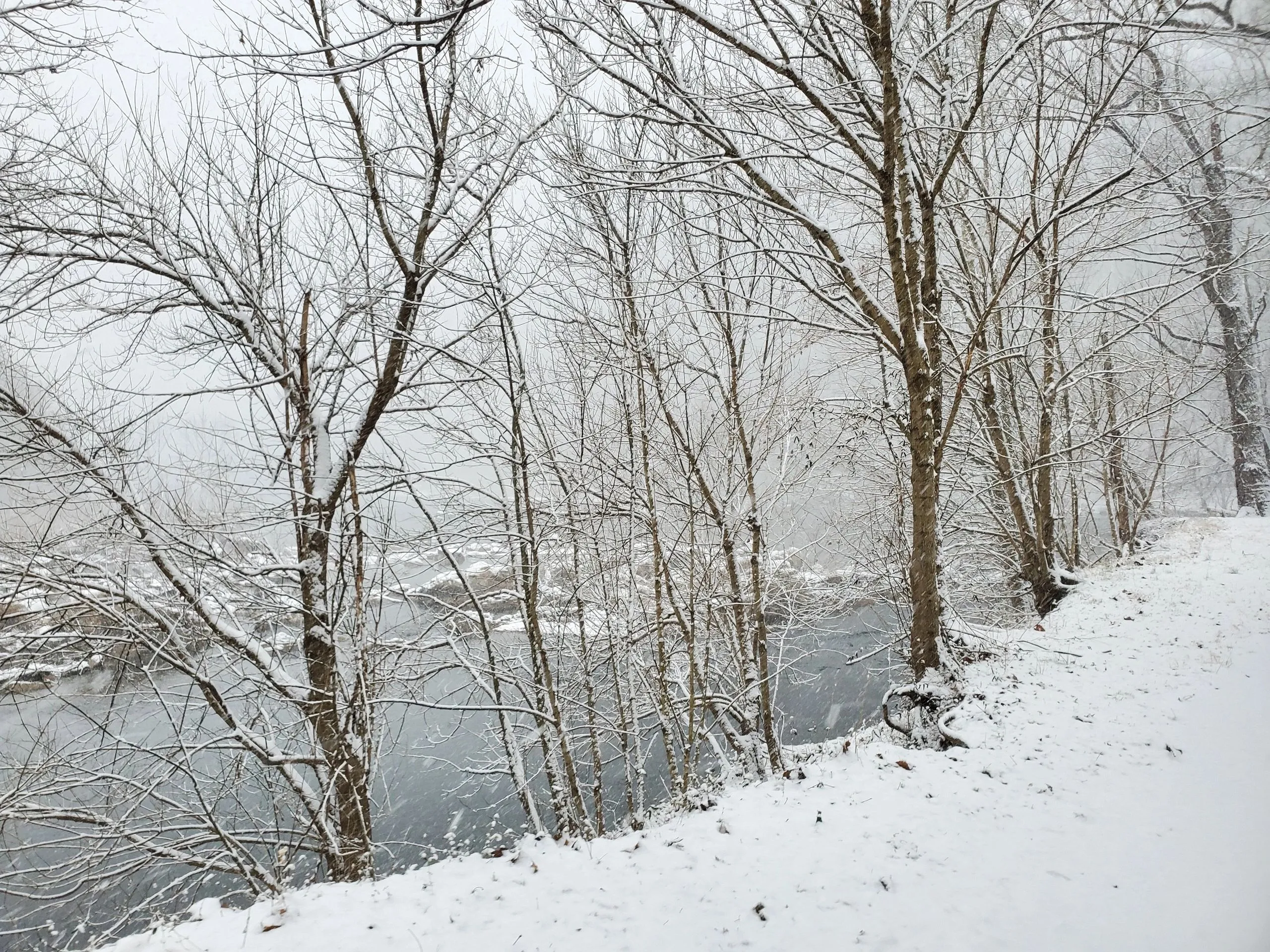 A snowy bank along the Maury River in winter, bare trees lining the water.